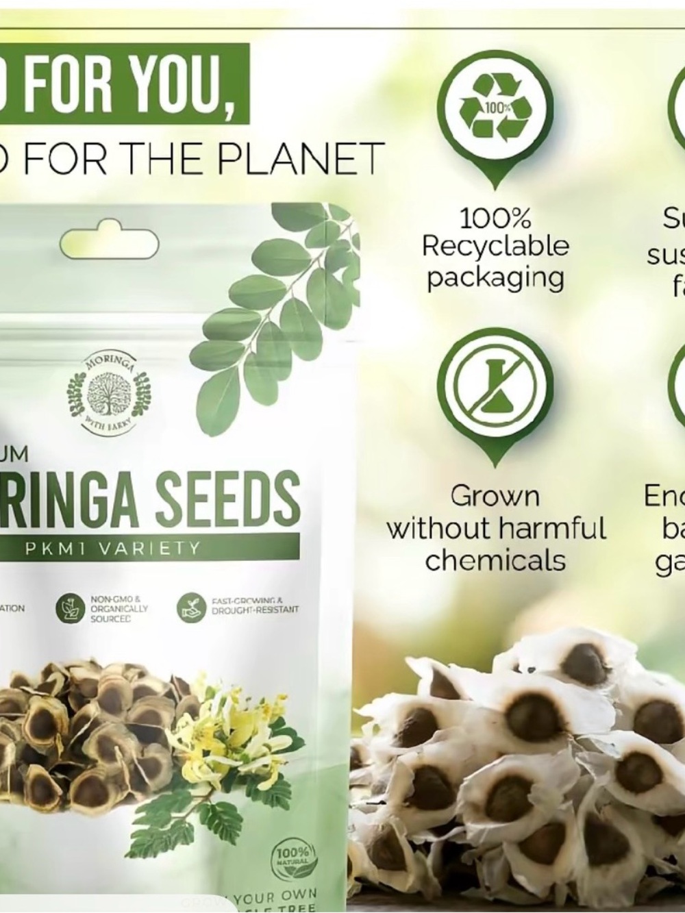 Moringa Seeds Premium PKM1 Variety – Natural Green Seed Pack